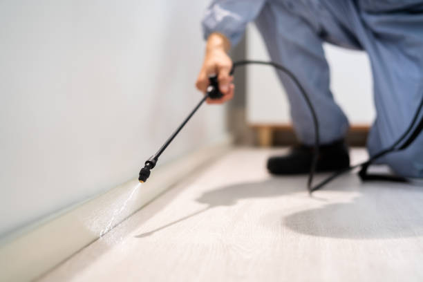 Certified termite inspector examining foundation in Granite Hills